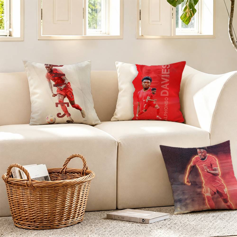غطاء وسادة كندا A-Alphonso D-D - مراجعة Home Textiles Canada وسعره